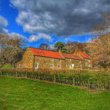 Bed and Breakfast Park House Ingleby Arncliffe Esterno foto
