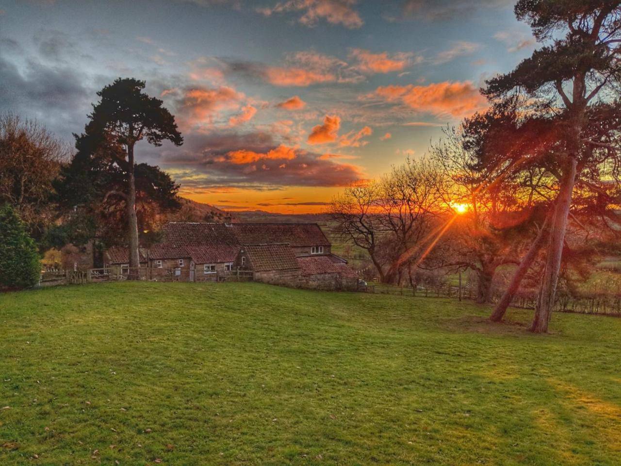 Bed and Breakfast Park House Ingleby Arncliffe Esterno foto