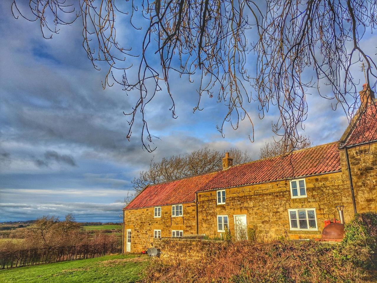 Bed and Breakfast Park House Ingleby Arncliffe Esterno foto