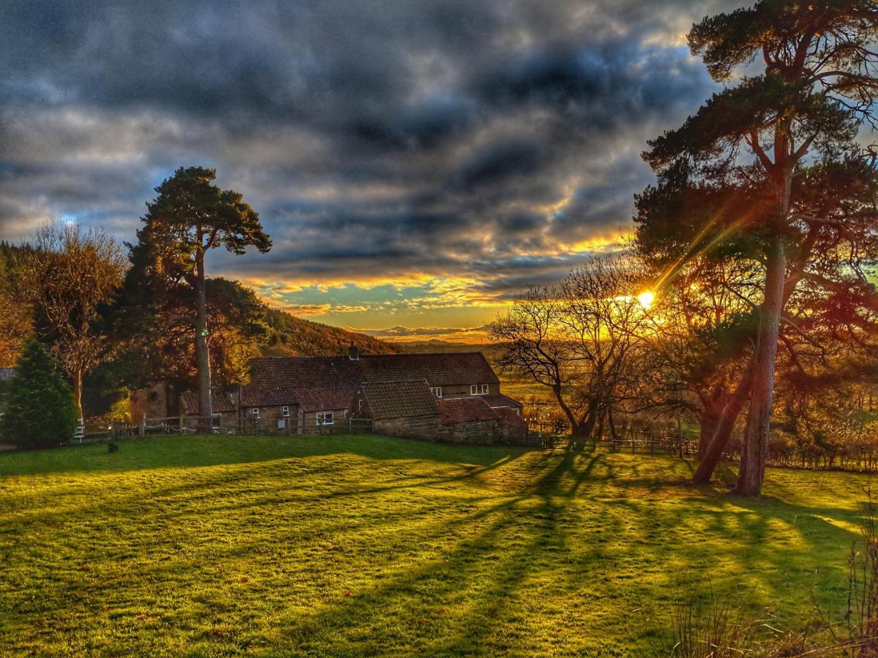 Bed and Breakfast Park House Ingleby Arncliffe Esterno foto