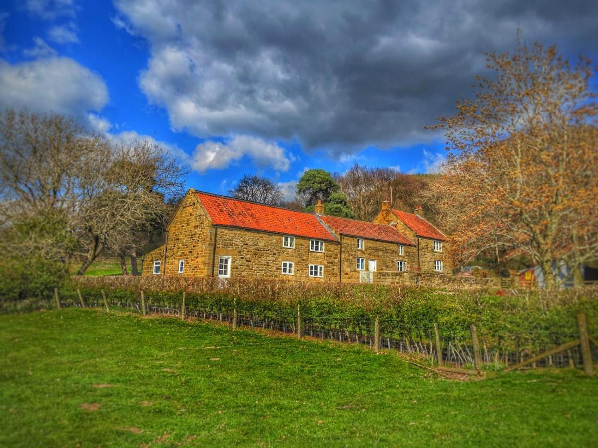 Bed and Breakfast Park House Ingleby Arncliffe Esterno foto